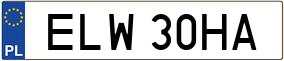 Truck License Plate
